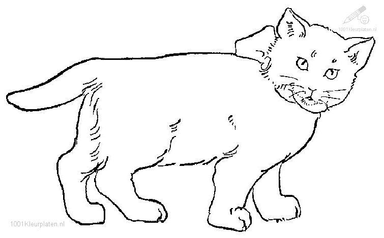 Disegno da colorare: Gatto (Animali) #1882 - Pagine da Colorare Stampabili Gratuite