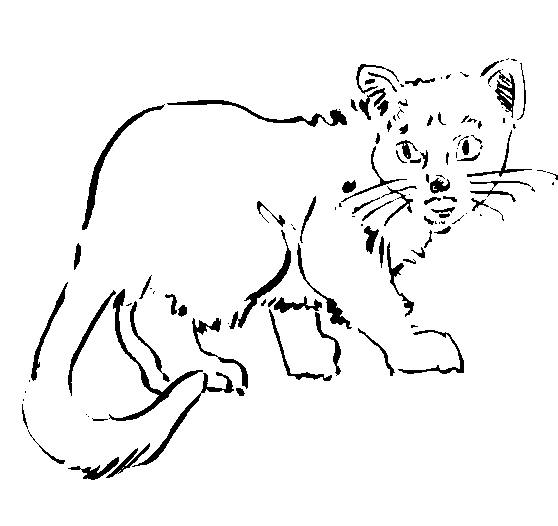 Disegno da colorare: Gatto (Animali) #1902 - Pagine da Colorare Stampabili Gratuite