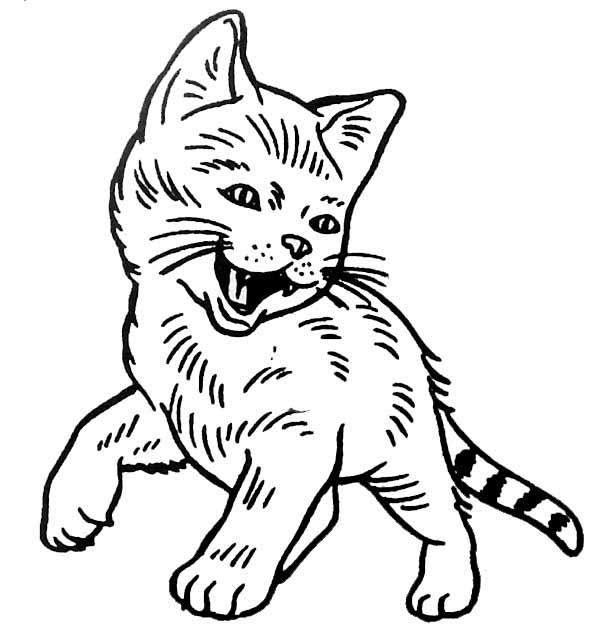 Disegno da colorare: Gatto (Animali) #1904 - Pagine da Colorare Stampabili Gratuite