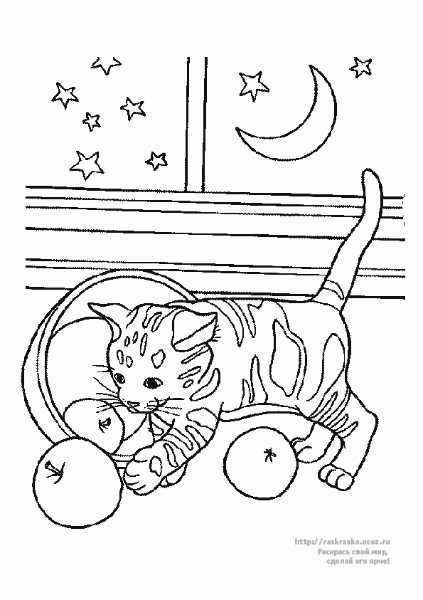 Disegno da colorare: Gatto (Animali) #1946 - Pagine da Colorare Stampabili Gratuite
