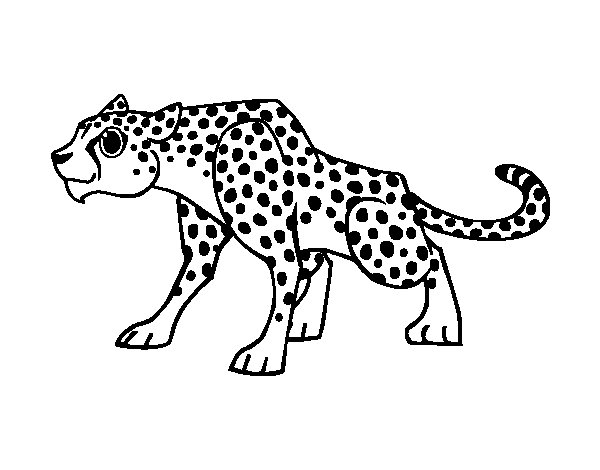Disegno da colorare: Ghepardo (Animali) #7892 - Pagine da Colorare Stampabili Gratuite