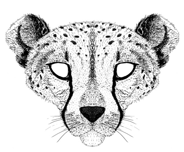 Disegno da colorare: Ghepardo (Animali) #7922 - Pagine da Colorare Stampabili Gratuite