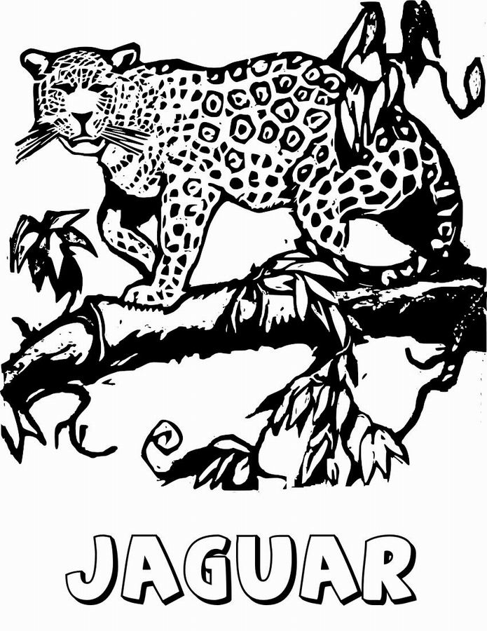 Disegno da colorare: Giaguaro (Animali) #9008 - Pagine da Colorare Stampabili Gratuite