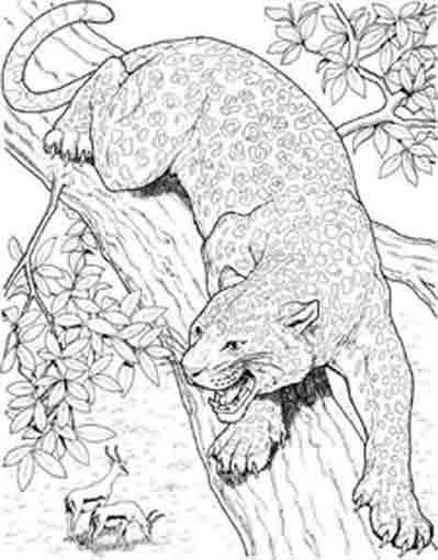 Disegno da colorare: Giaguaro (Animali) #9038 - Pagine da Colorare Stampabili Gratuite