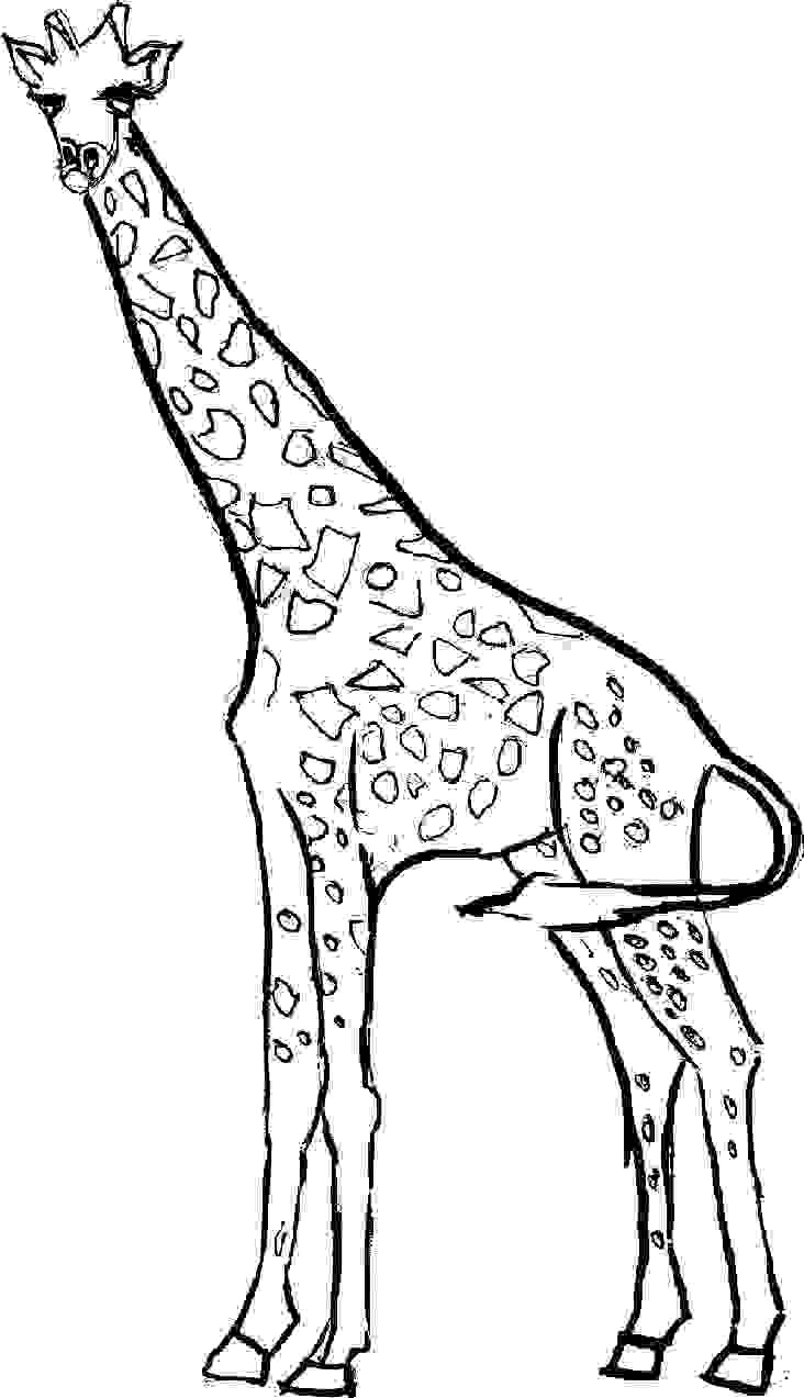 Disegno da colorare: Giraffa (Animali) #7219 - Pagine da Colorare Stampabili Gratuite