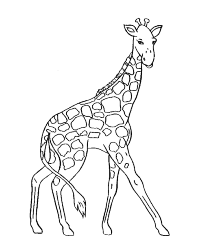 Disegno da colorare: Giraffa (Animali) #7220 - Pagine da Colorare Stampabili Gratuite
