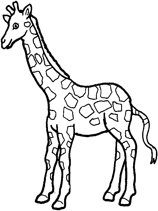 Disegno da colorare: Giraffa (Animali) #7225 - Pagine da Colorare Stampabili Gratuite