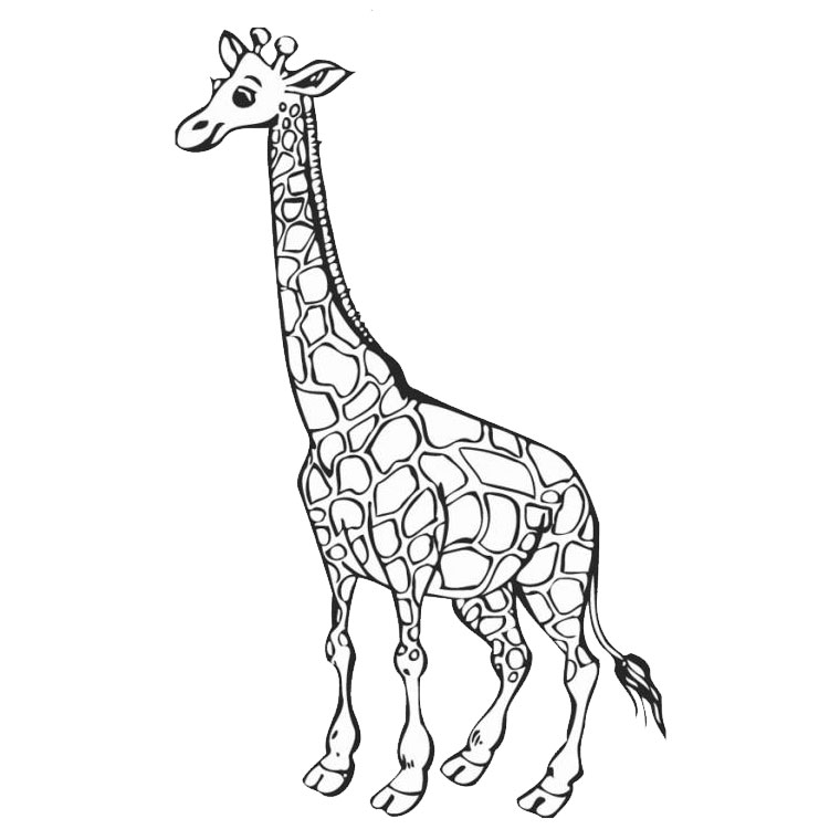 Disegno da colorare: Giraffa (Animali) #7226 - Pagine da Colorare Stampabili Gratuite