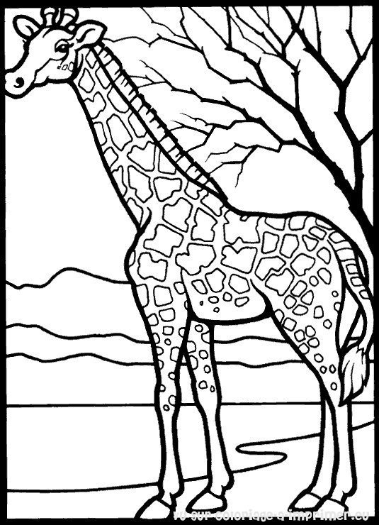 Disegno da colorare: Giraffa (Animali) #7231 - Pagine da Colorare Stampabili Gratuite