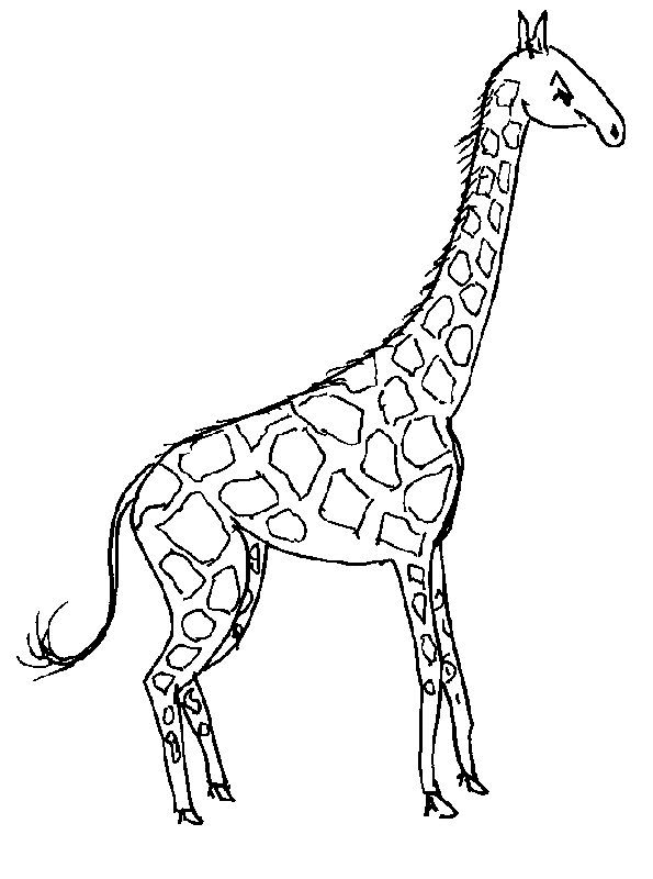 Disegno da colorare: Giraffa (Animali) #7235 - Pagine da Colorare Stampabili Gratuite