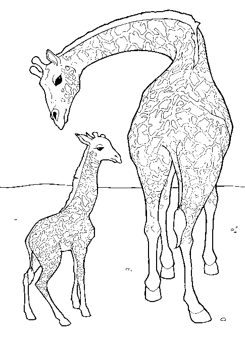 Disegno da colorare: Giraffa (Animali) #7238 - Pagine da Colorare Stampabili Gratuite