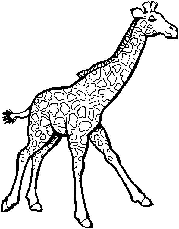 Disegno da colorare: Giraffa (Animali) #7246 - Pagine da Colorare Stampabili Gratuite