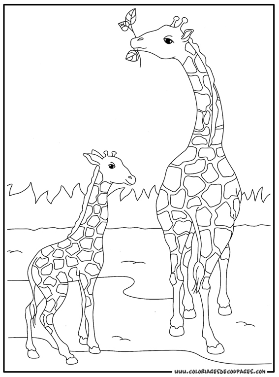 Disegno da colorare: Giraffa (Animali) #7248 - Pagine da Colorare Stampabili Gratuite