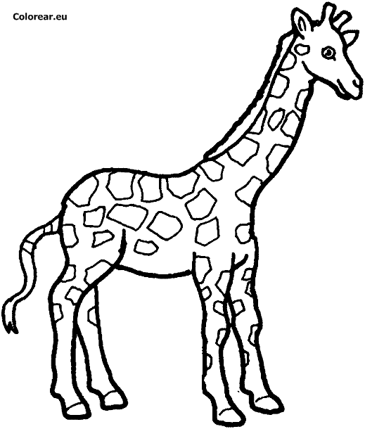 Disegno da colorare: Giraffa (Animali) #7261 - Pagine da Colorare Stampabili Gratuite