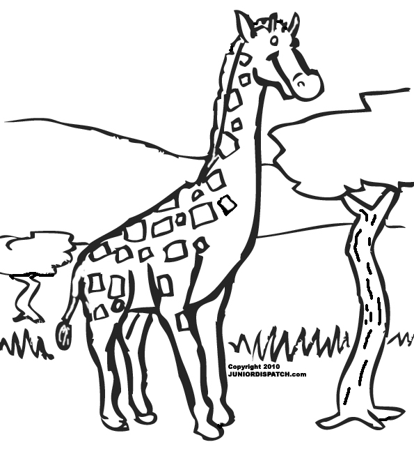 Disegno da colorare: Giraffa (Animali) #7287 - Pagine da Colorare Stampabili Gratuite