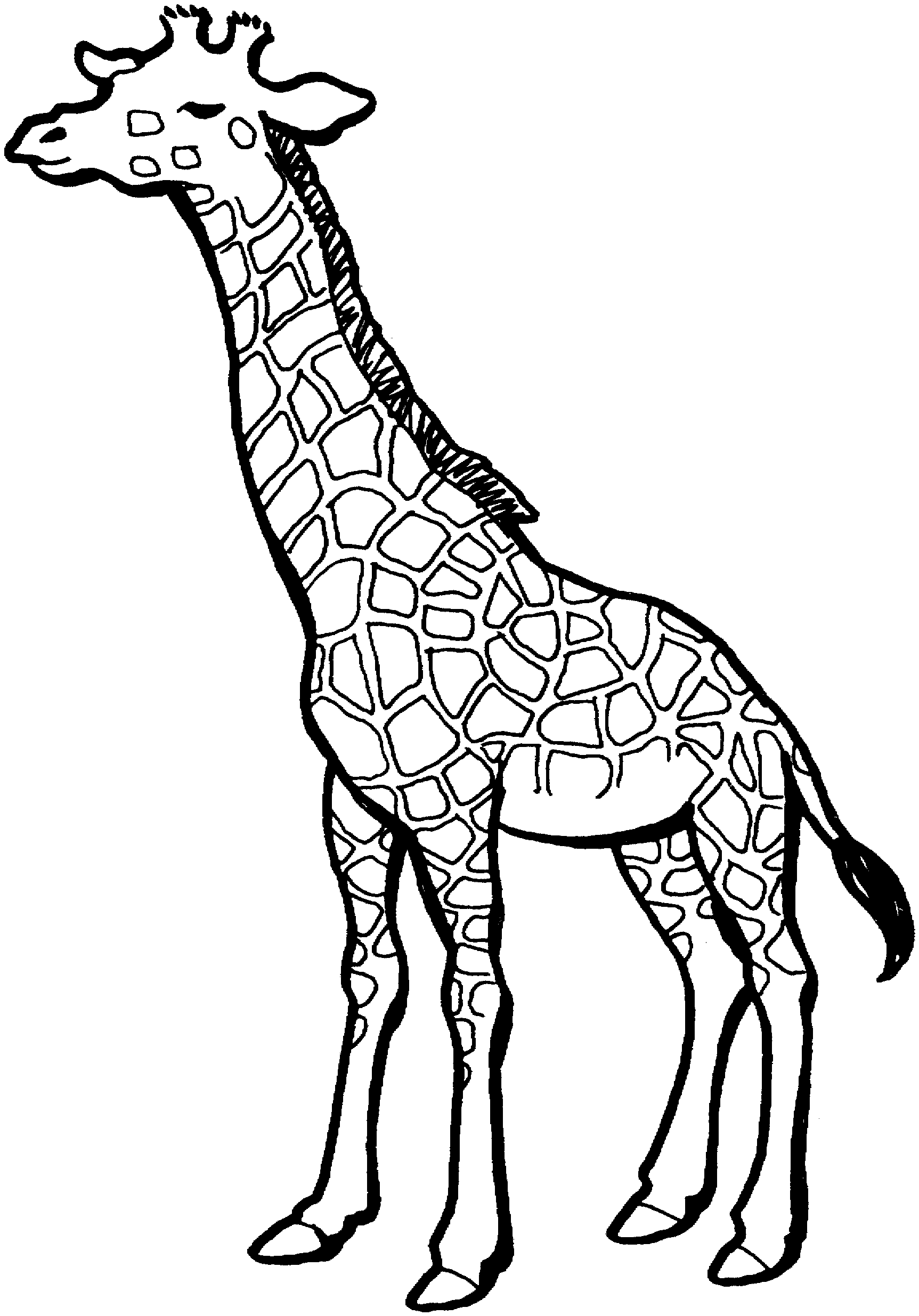 Disegno da colorare: Giraffa (Animali) #7291 - Pagine da Colorare Stampabili Gratuite