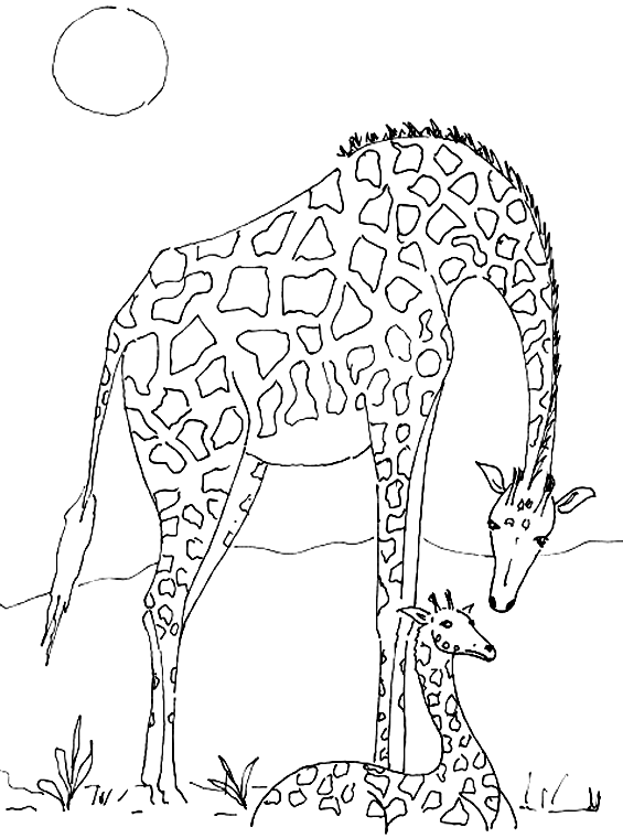 Disegno da colorare: Giraffa (Animali) #7302 - Pagine da Colorare Stampabili Gratuite