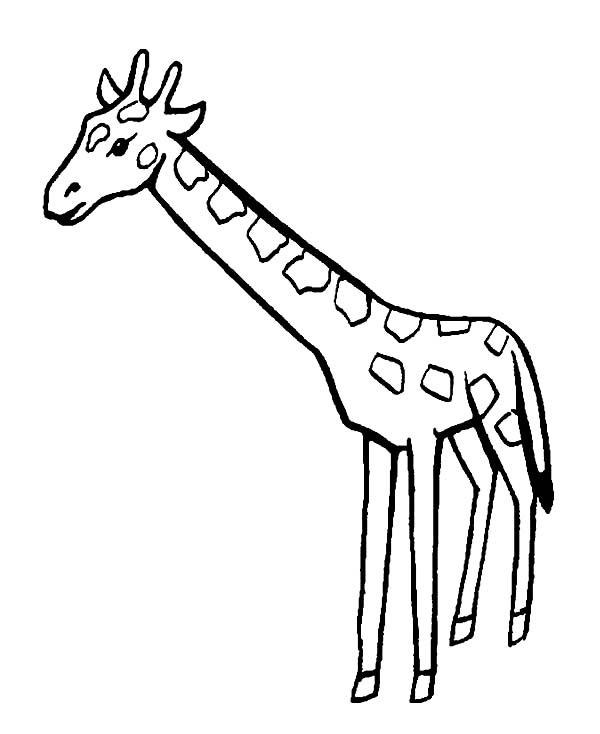 Disegno da colorare: Giraffa (Animali) #7351 - Pagine da Colorare Stampabili Gratuite