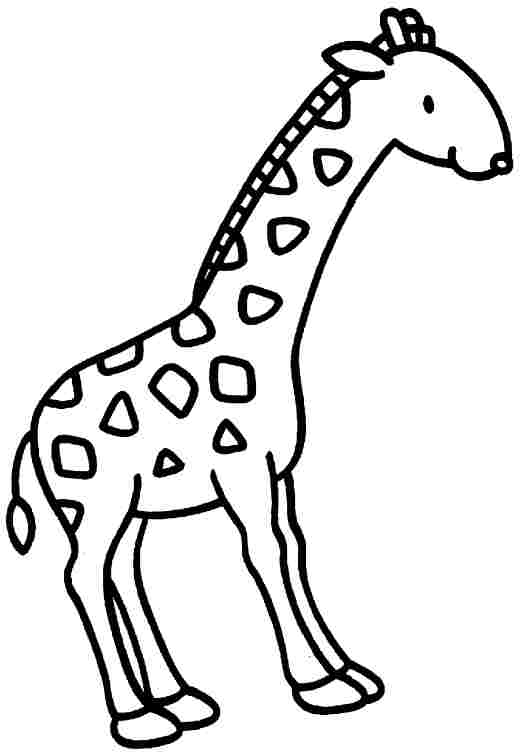 Disegno da colorare: Giraffa (Animali) #7367 - Pagine da Colorare Stampabili Gratuite