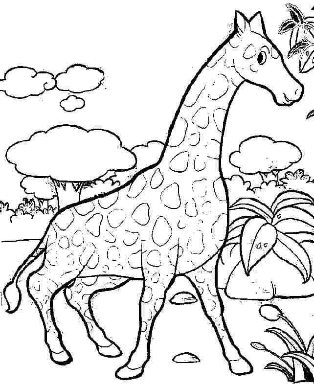 Disegno da colorare: Giraffa (Animali) #7380 - Pagine da Colorare Stampabili Gratuite