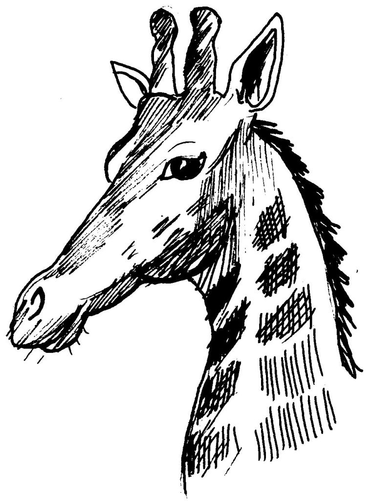 Disegno da colorare: Giraffa (Animali) #7389 - Pagine da Colorare Stampabili Gratuite