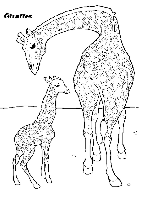 Disegno da colorare: Giraffa (Animali) #7413 - Pagine da Colorare Stampabili Gratuite