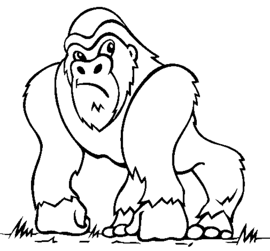 Disegno da colorare: Gorilla (Animali) #7420 - Pagine da Colorare Stampabili Gratuite