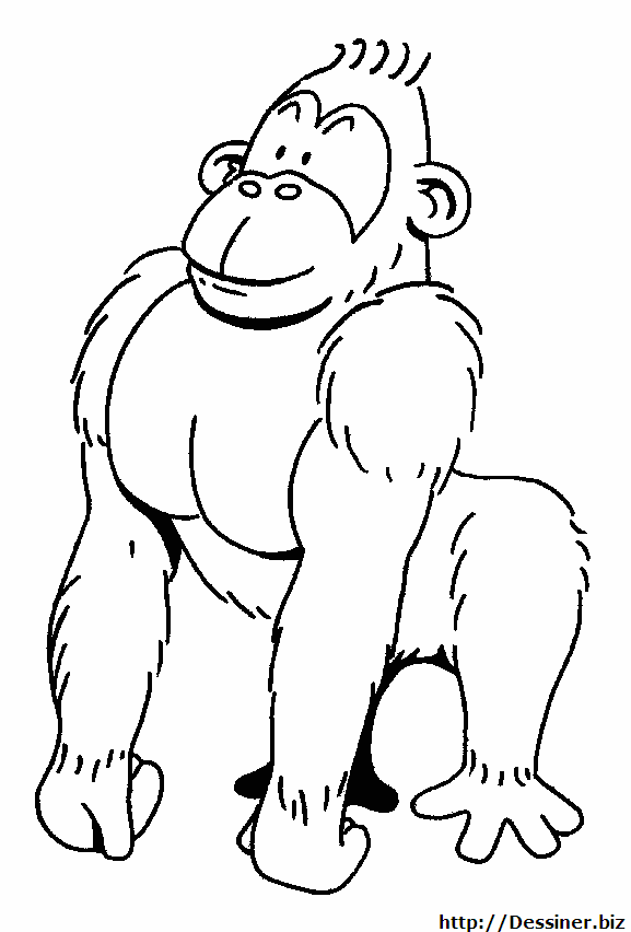 Disegno da colorare: Gorilla (Animali) #7422 - Pagine da Colorare Stampabili Gratuite