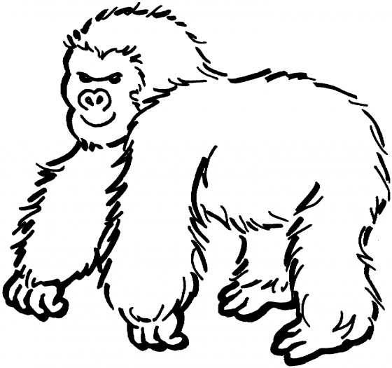 Disegno da colorare: Gorilla (Animali) #7426 - Pagine da Colorare Stampabili Gratuite