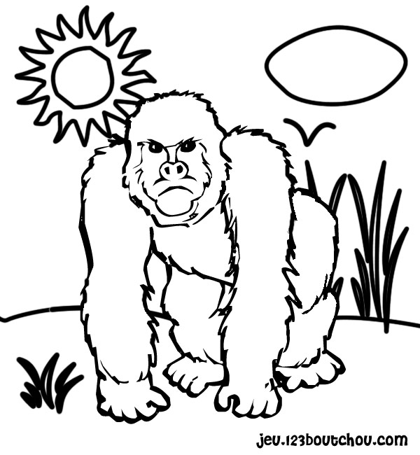 Disegno da colorare: Gorilla (Animali) #7436 - Pagine da Colorare Stampabili Gratuite