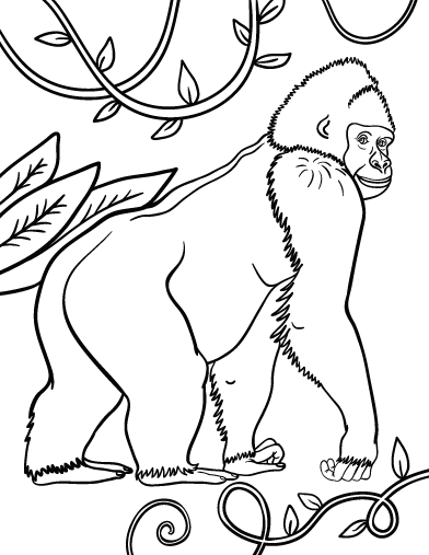 Disegno da colorare: Gorilla (Animali) #7442 - Pagine da Colorare Stampabili Gratuite