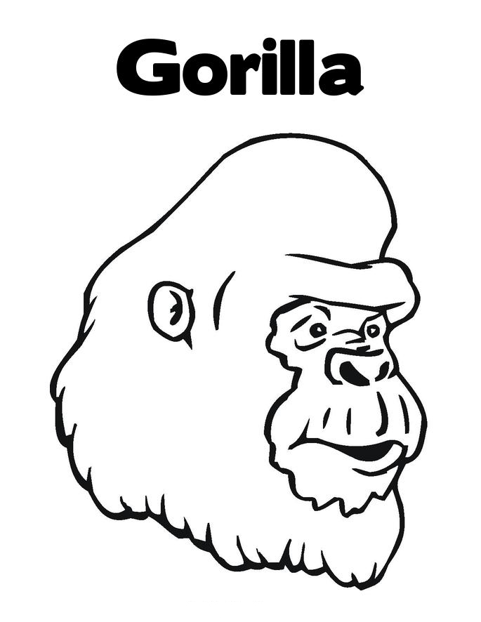 Disegno da colorare: Gorilla (Animali) #7443 - Pagine da Colorare Stampabili Gratuite