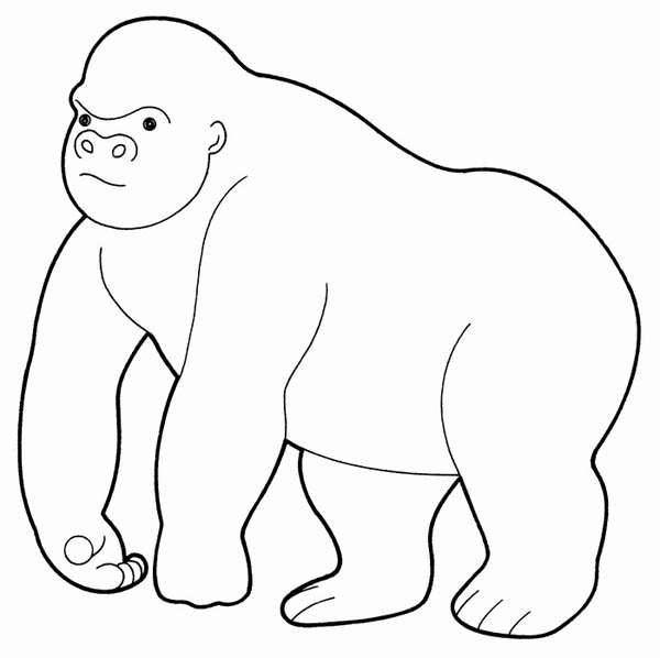Disegno da colorare: Gorilla (Animali) #7447 - Pagine da Colorare Stampabili Gratuite