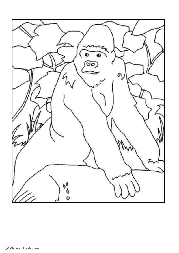 Disegno da colorare: Gorilla (Animali) #7451 - Pagine da Colorare Stampabili Gratuite