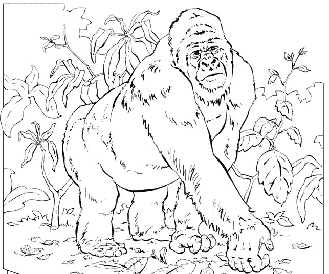 Disegno da colorare: Gorilla (Animali) #7455 - Pagine da Colorare Stampabili Gratuite