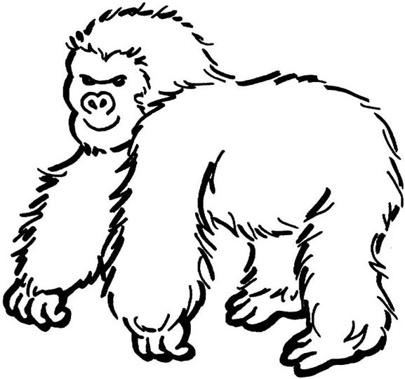 Disegno da colorare: Gorilla (Animali) #7475 - Pagine da Colorare Stampabili Gratuite