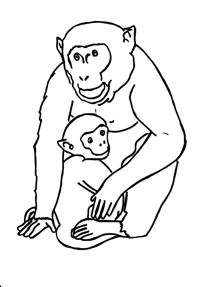 Disegno da colorare: Gorilla (Animali) #7476 - Pagine da Colorare Stampabili Gratuite