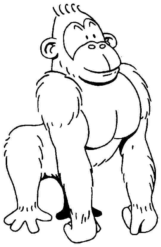 Disegno da colorare: Gorilla (Animali) #7495 - Pagine da Colorare Stampabili Gratuite