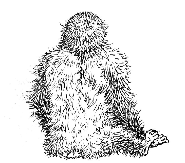 Disegno da colorare: Gorilla (Animali) #7507 - Pagine da Colorare Stampabili Gratuite