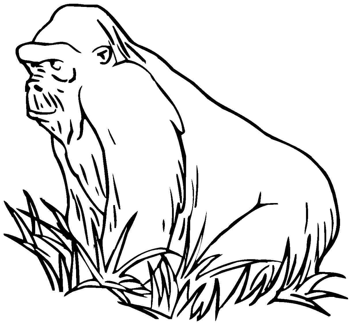 Disegno da colorare: Gorilla (Animali) #7514 - Pagine da Colorare Stampabili Gratuite
