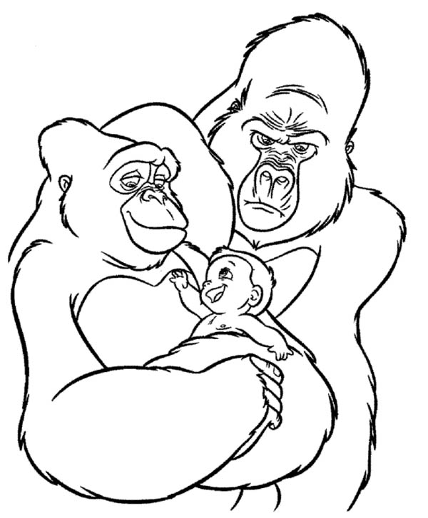 Disegno da colorare: Gorilla (Animali) #7522 - Pagine da Colorare Stampabili Gratuite