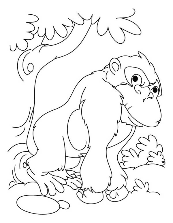 Disegno da colorare: Gorilla (Animali) #7534 - Pagine da Colorare Stampabili Gratuite