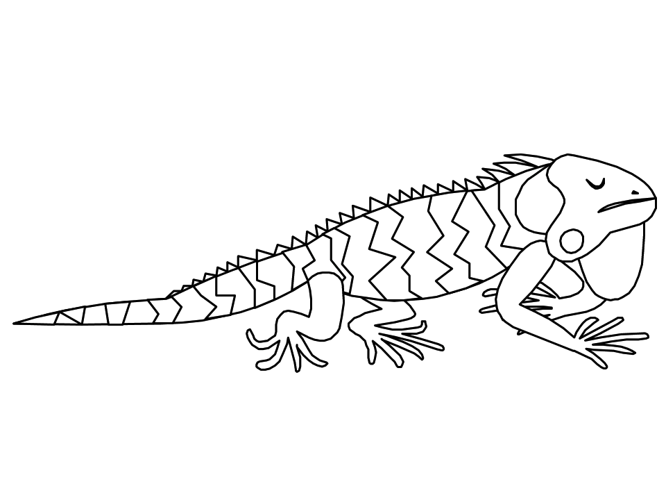 Disegno da colorare: iguana (Animali) #8914 - Pagine da Colorare Stampabili Gratuite