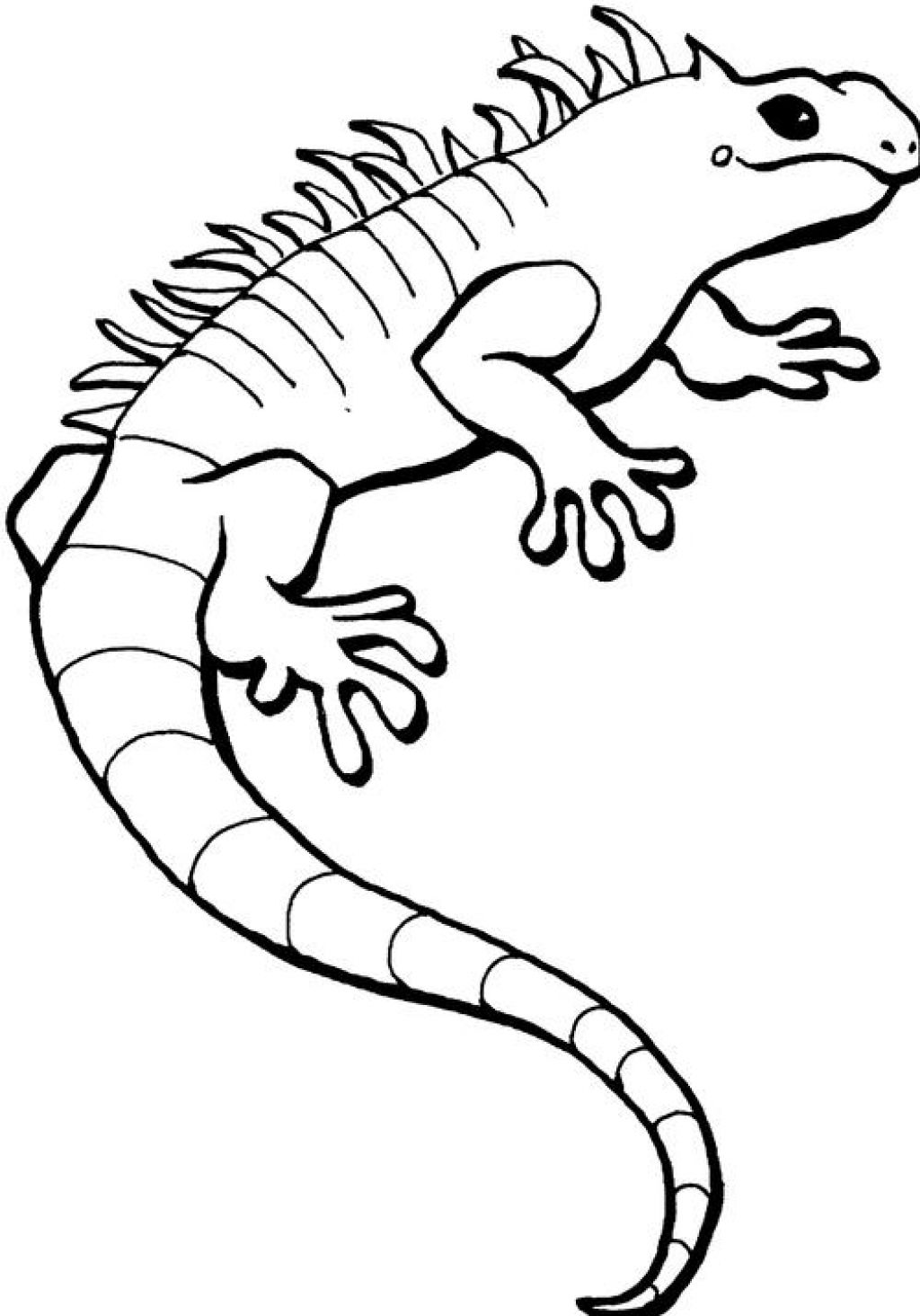Disegno da colorare: iguana (Animali) #8915 - Pagine da Colorare Stampabili Gratuite