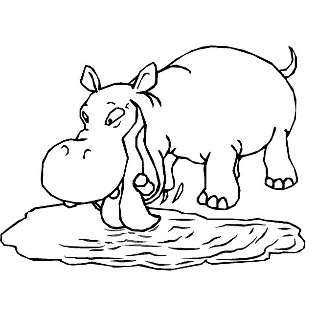 Disegno da colorare: Ippopotamo (Animali) #8619 - Pagine da Colorare Stampabili Gratuite