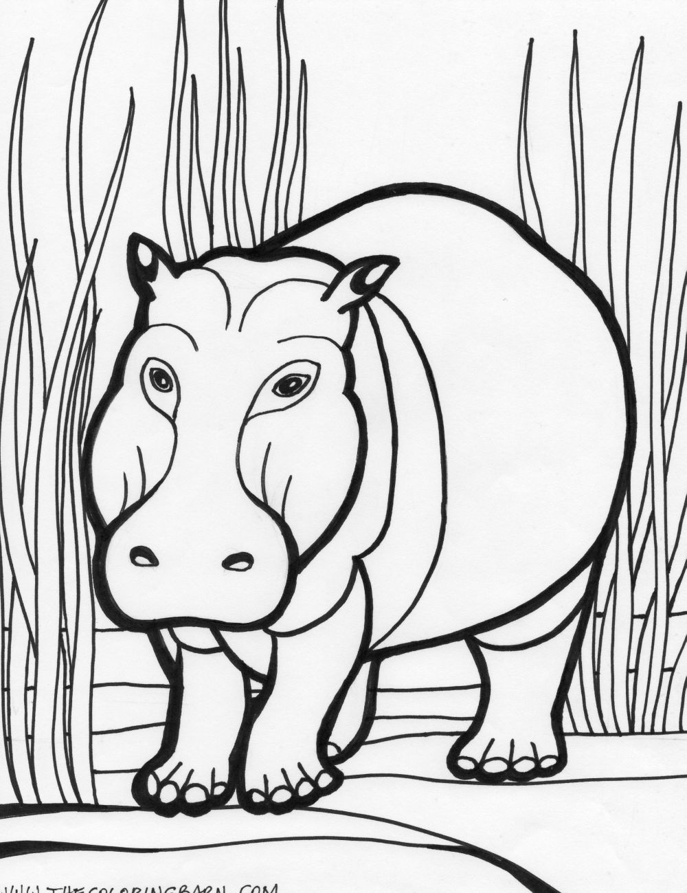 Disegno da colorare: Ippopotamo (Animali) #8643 - Pagine da Colorare Stampabili Gratuite