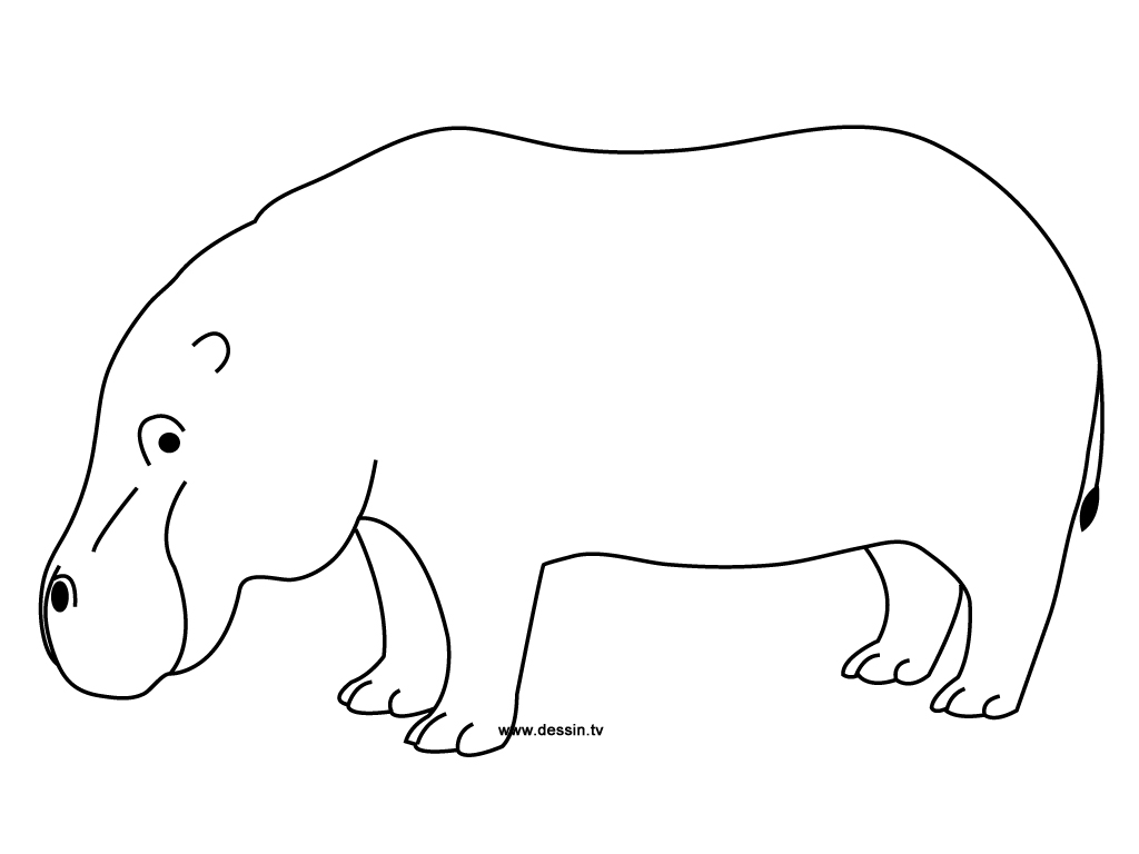 Disegno da colorare: Ippopotamo (Animali) #8658 - Pagine da Colorare Stampabili Gratuite