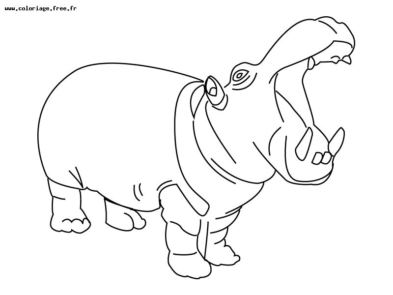 Disegno da colorare: Ippopotamo (Animali) #8663 - Pagine da Colorare Stampabili Gratuite