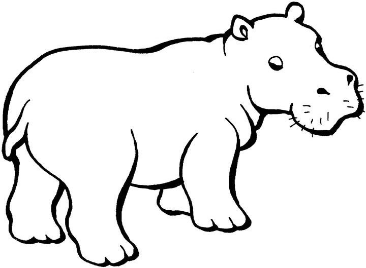 Disegno da colorare: Ippopotamo (Animali) #8672 - Pagine da Colorare Stampabili Gratuite