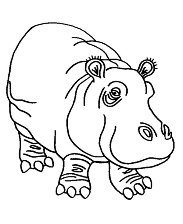 Disegno da colorare: Ippopotamo (Animali) #8726 - Pagine da Colorare Stampabili Gratuite